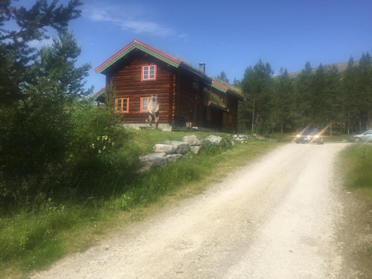 Villa Øvre Nordli Rondane Utleie Sollia Friluftsliv Exterior foto