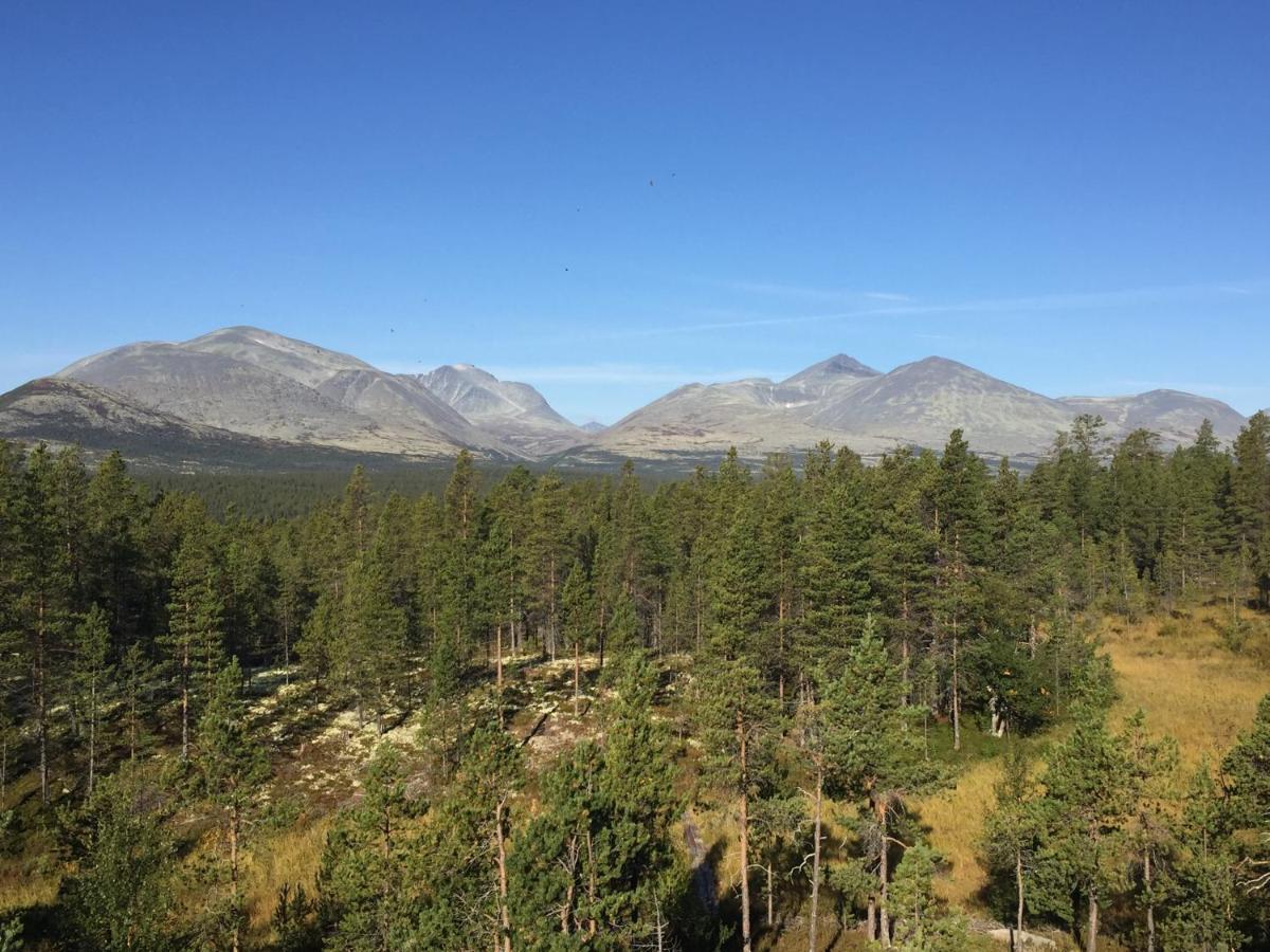 Villa Øvre Nordli Rondane Utleie Sollia Friluftsliv Exterior foto