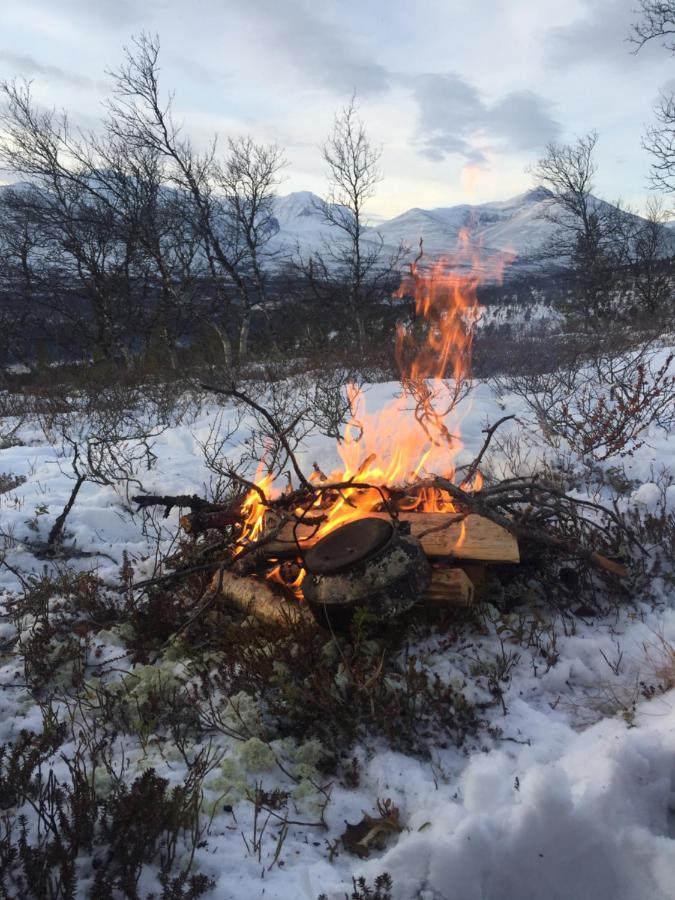 Villa Øvre Nordli Rondane Utleie Sollia Friluftsliv Exterior foto
