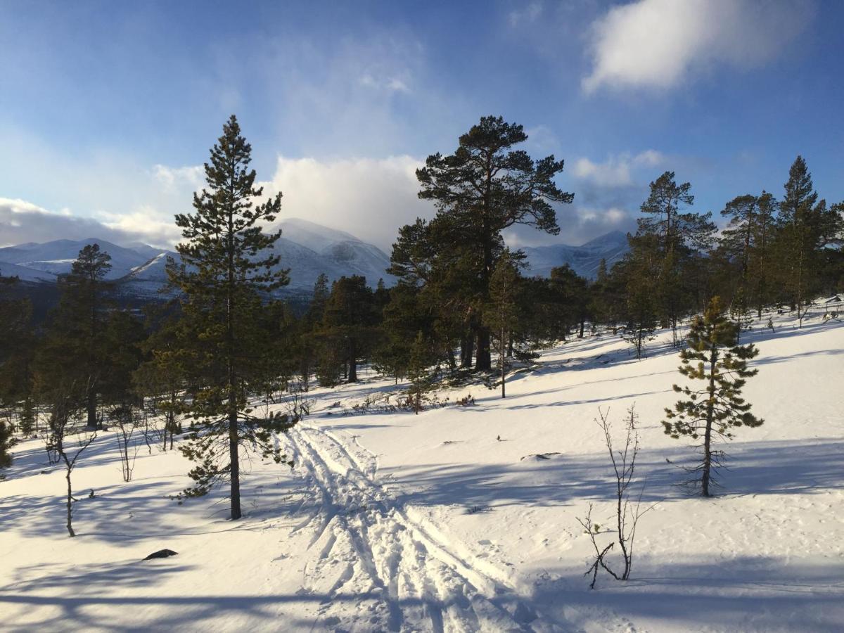 Villa Øvre Nordli Rondane Utleie Sollia Friluftsliv Exterior foto
