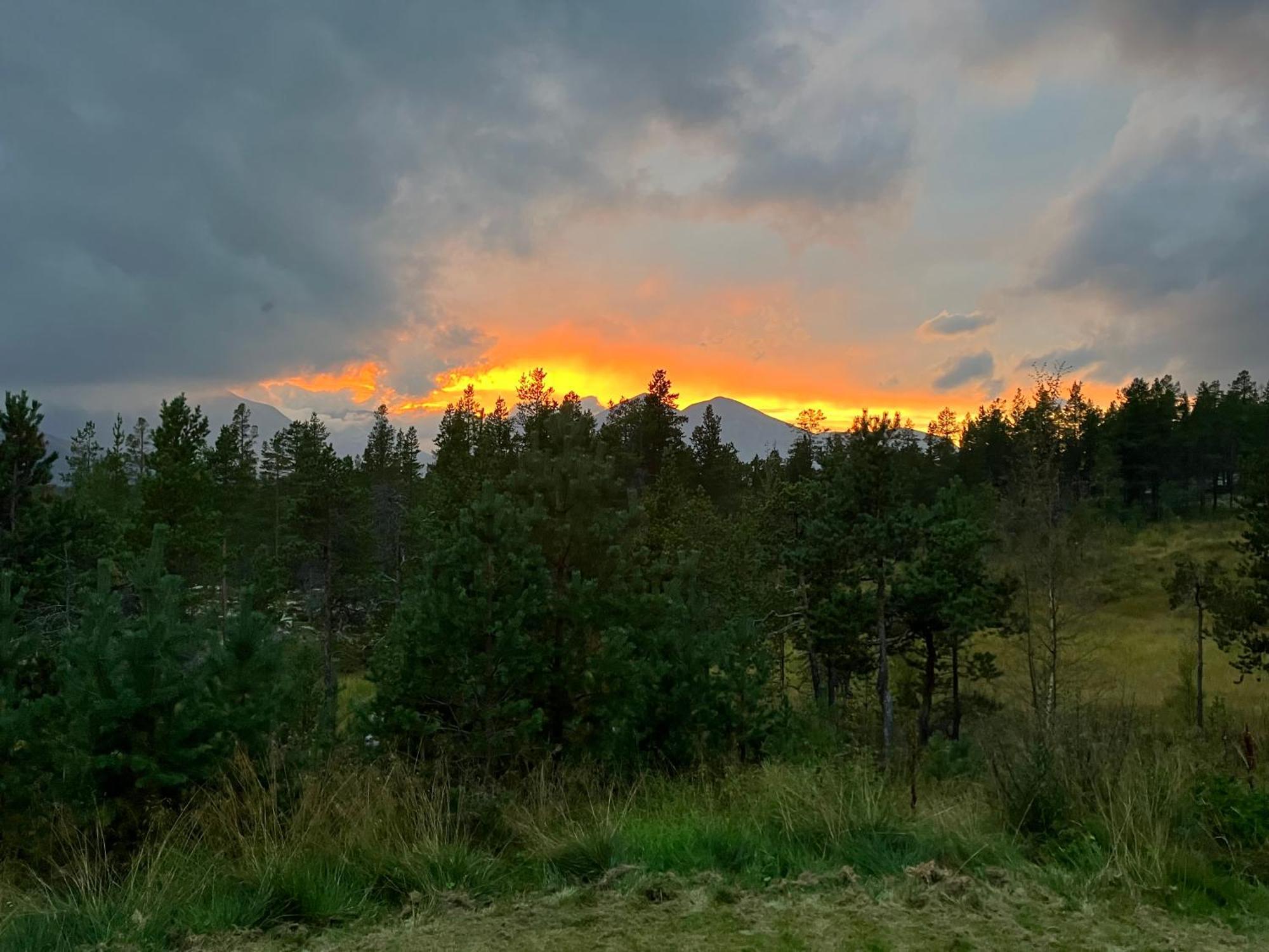 Villa Øvre Nordli Rondane Utleie Sollia Friluftsliv Exterior foto